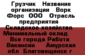 Грузчик › Название организации ­ Ворк Форс, ООО › Отрасль предприятия ­ Складское хозяйство › Минимальный оклад ­ 1 - Все города Работа » Вакансии   . Амурская обл.,Благовещенск г.